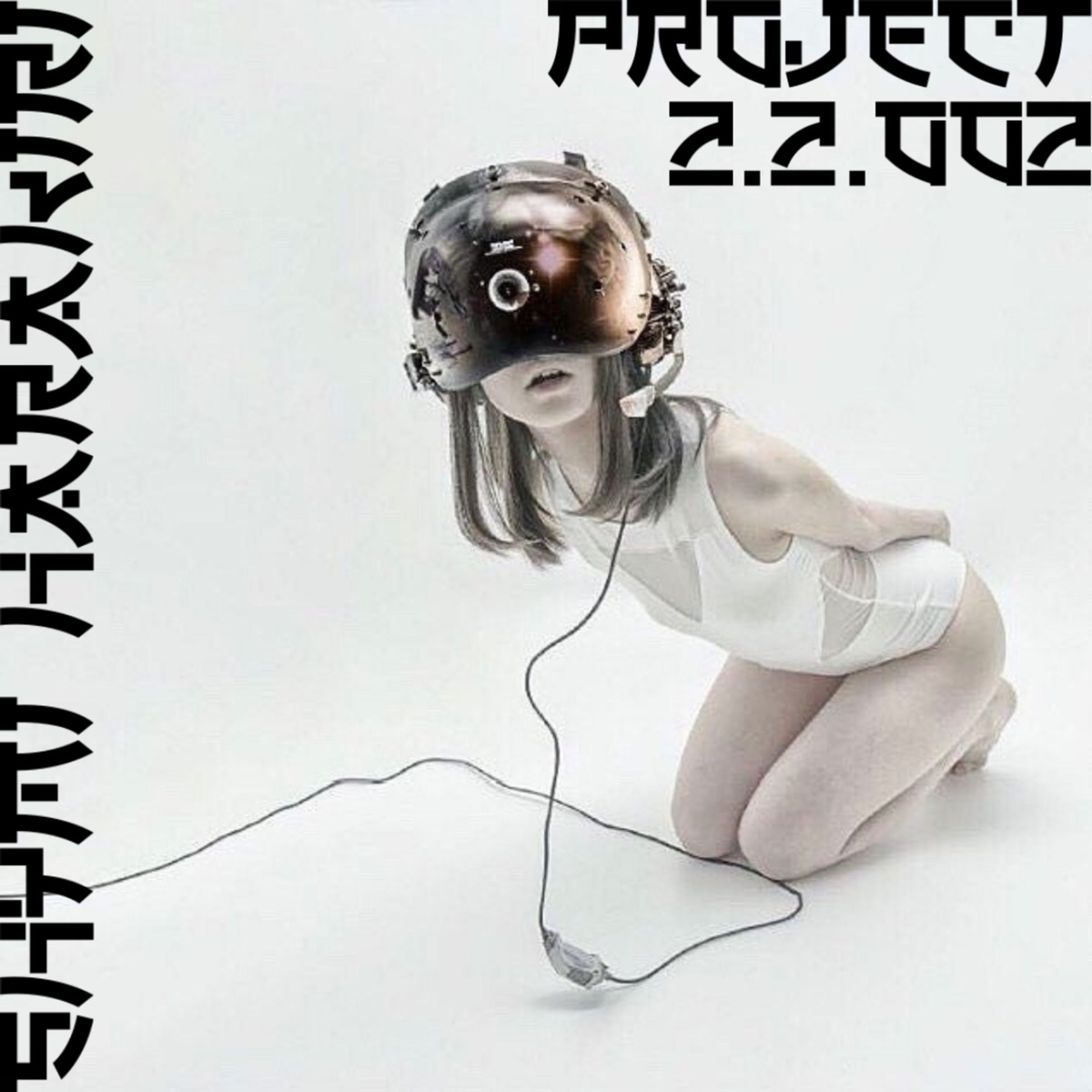 PROJECT 2.2.002 by shymi harakiri album cover