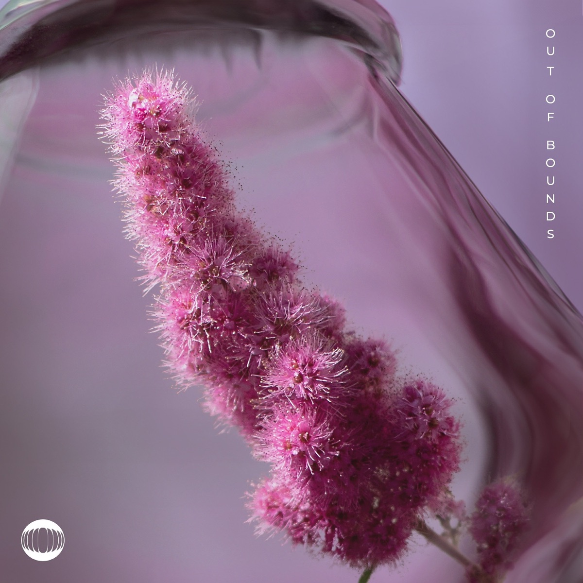 Out of Bounds (feat. Conrad & DLG.) - Single by Koastle album cover