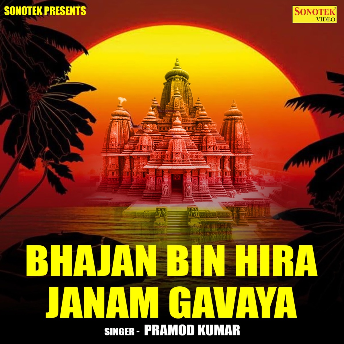 Bhajan Bin Hira Janam Gavaya - Single by Pramod Kumar album cover