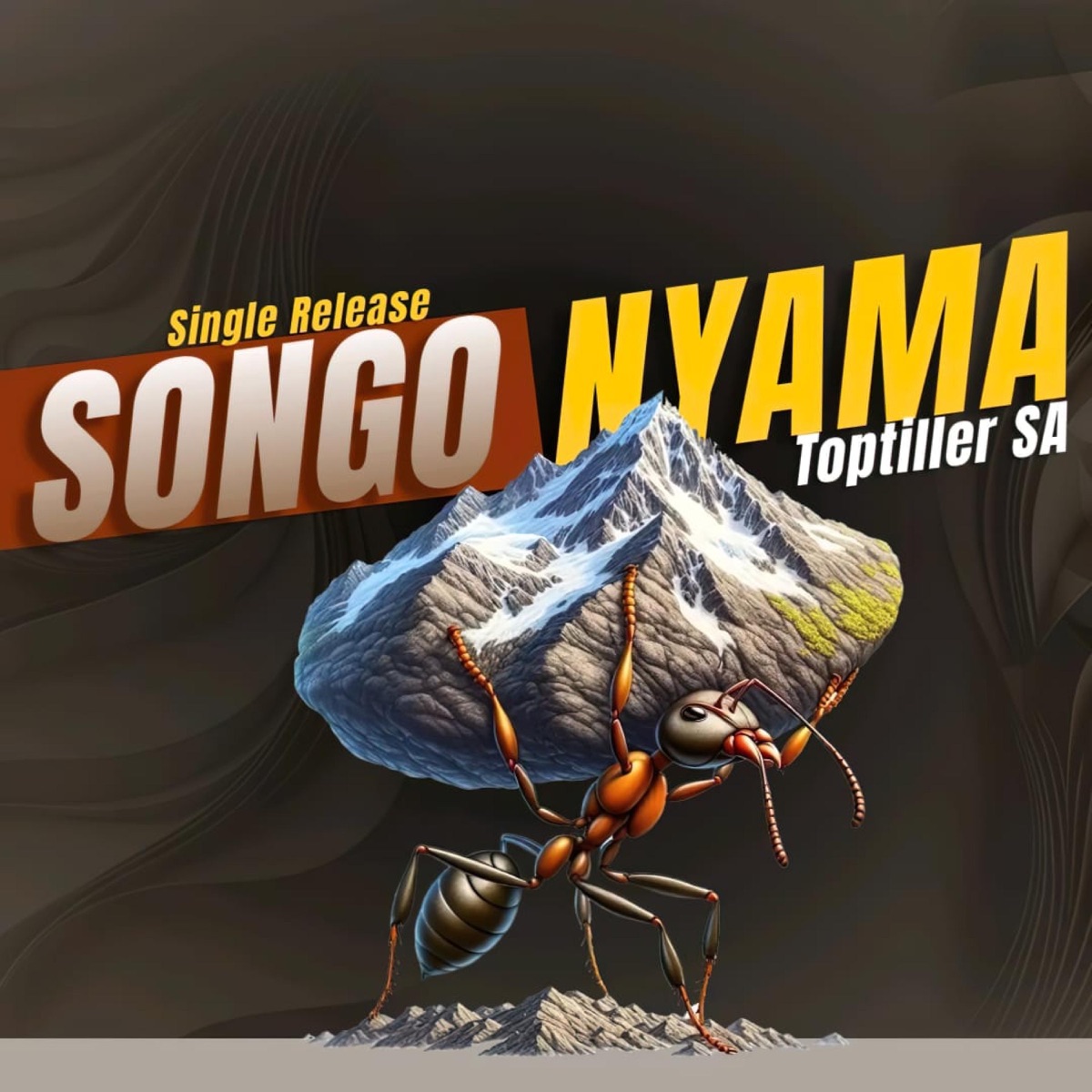 ToptillerSA-Songo Nyama - Single by ToptillerSA album cover