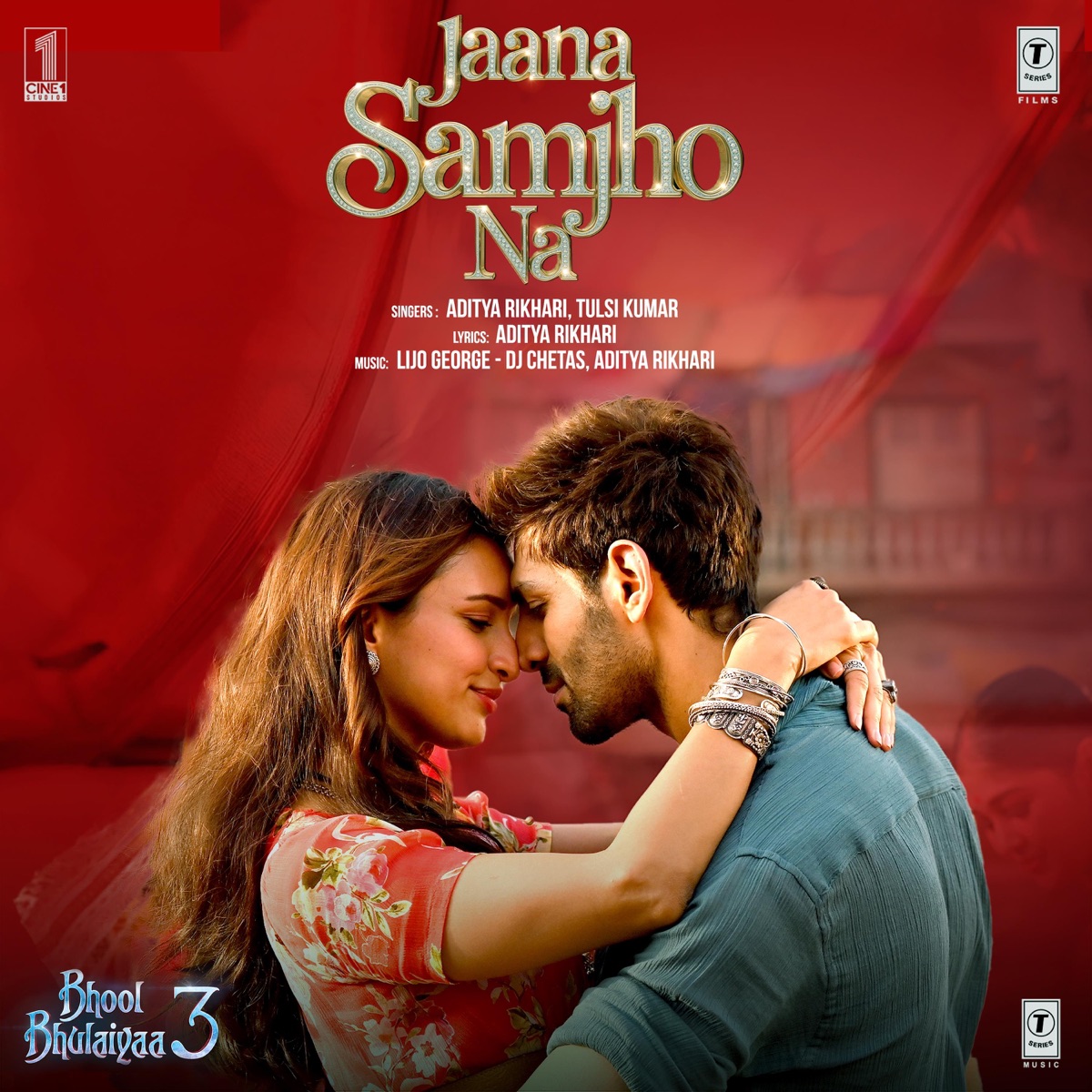 Jaana Samjho Na (From "Bhool Bhulaiyaa 3") - Single by Lijo George-Dj Chetas, Aditya Rikhari & Tulsi Kumar album cover