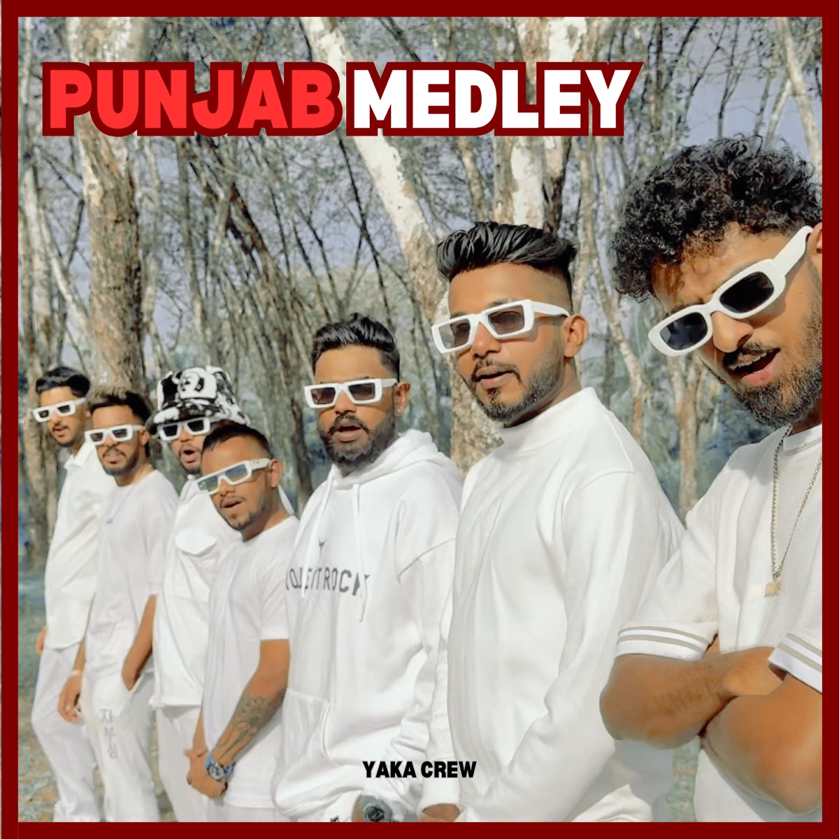 Punjab Medley - Single by Yaka Crew & Chanuka Mora album cover