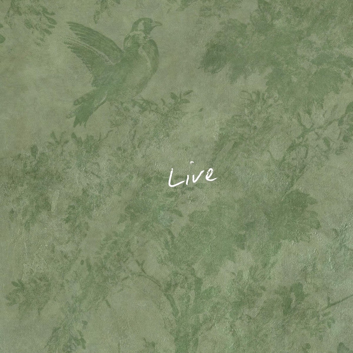 Live - Single by Bryson Jarrett album cover
