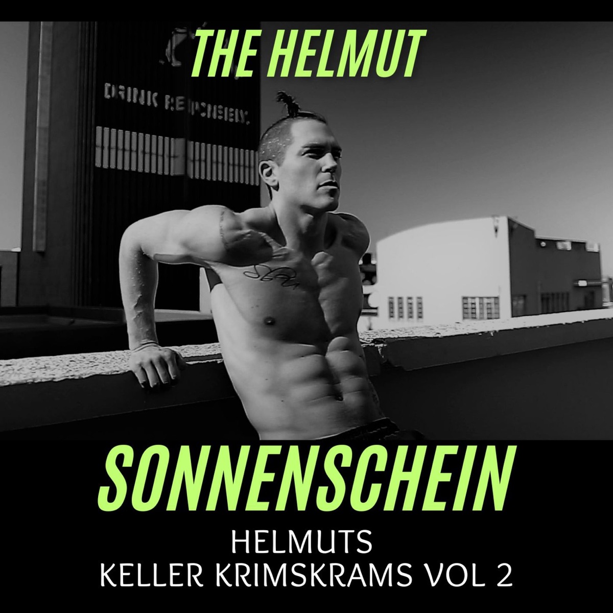 Sonnenschein - Single by The Helmut album cover