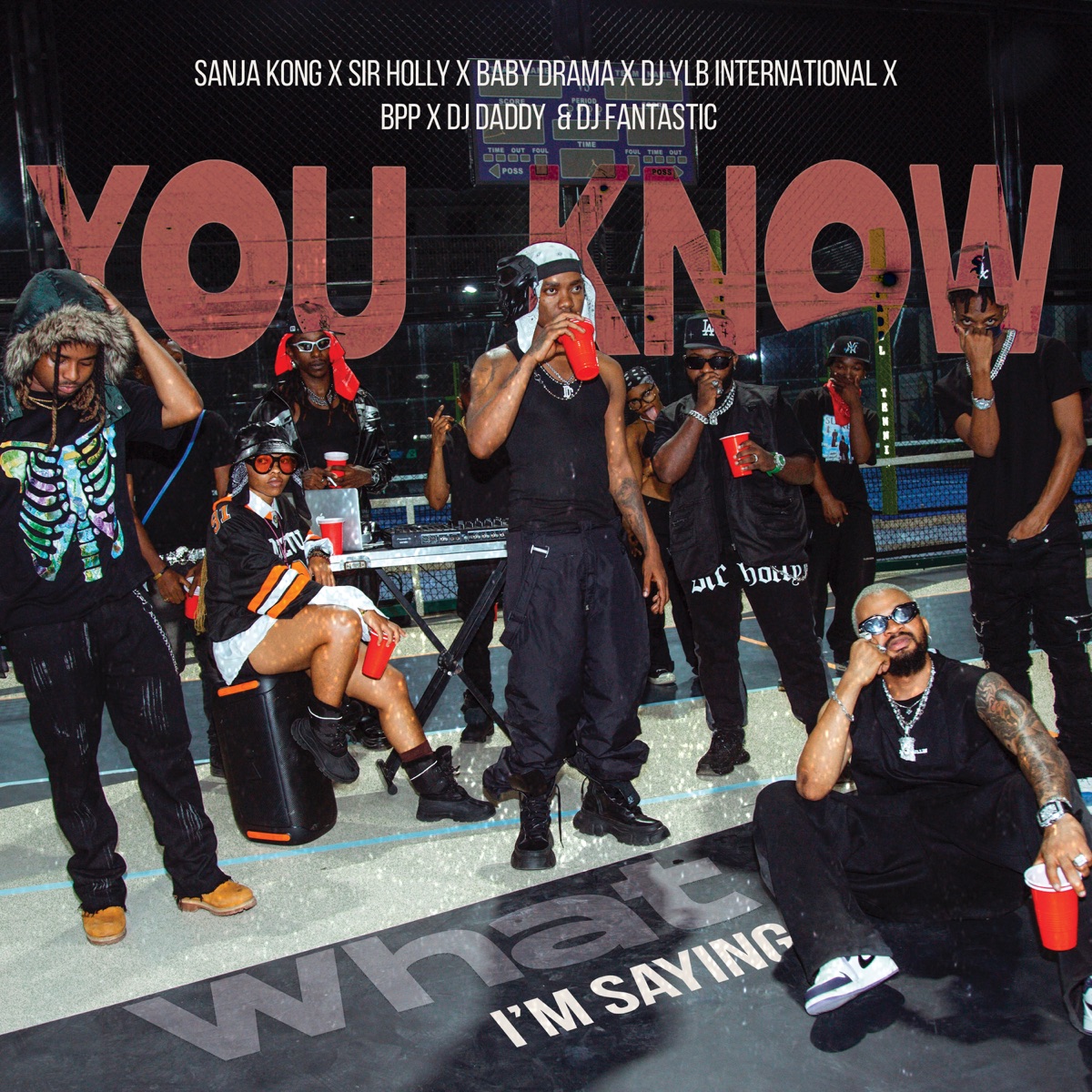 You Know What I'm Saying (feat. Baby Drama, Bpp, DJ Daddy, Sir Holly, DJ YLB INTERNATIONAL & Dj Fantastic) - Single by Sanja Kong album cover