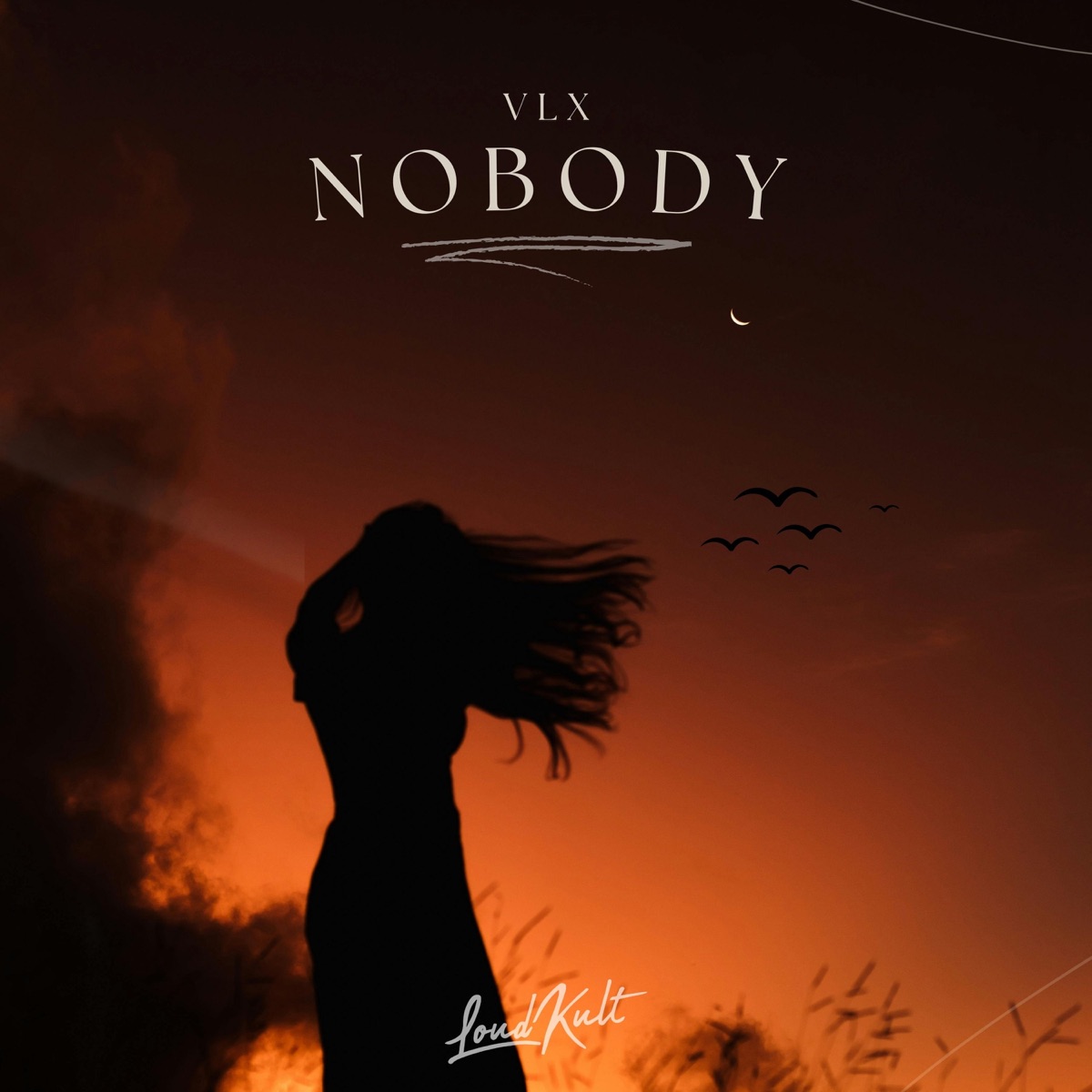 Nobody - Single by VLX album cover