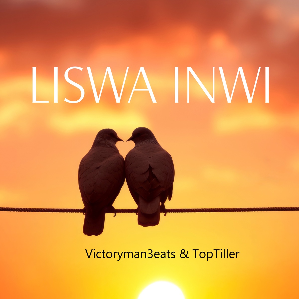 Liswa Inwi - Single by VictorymanBeats & ToptillerSA album cover