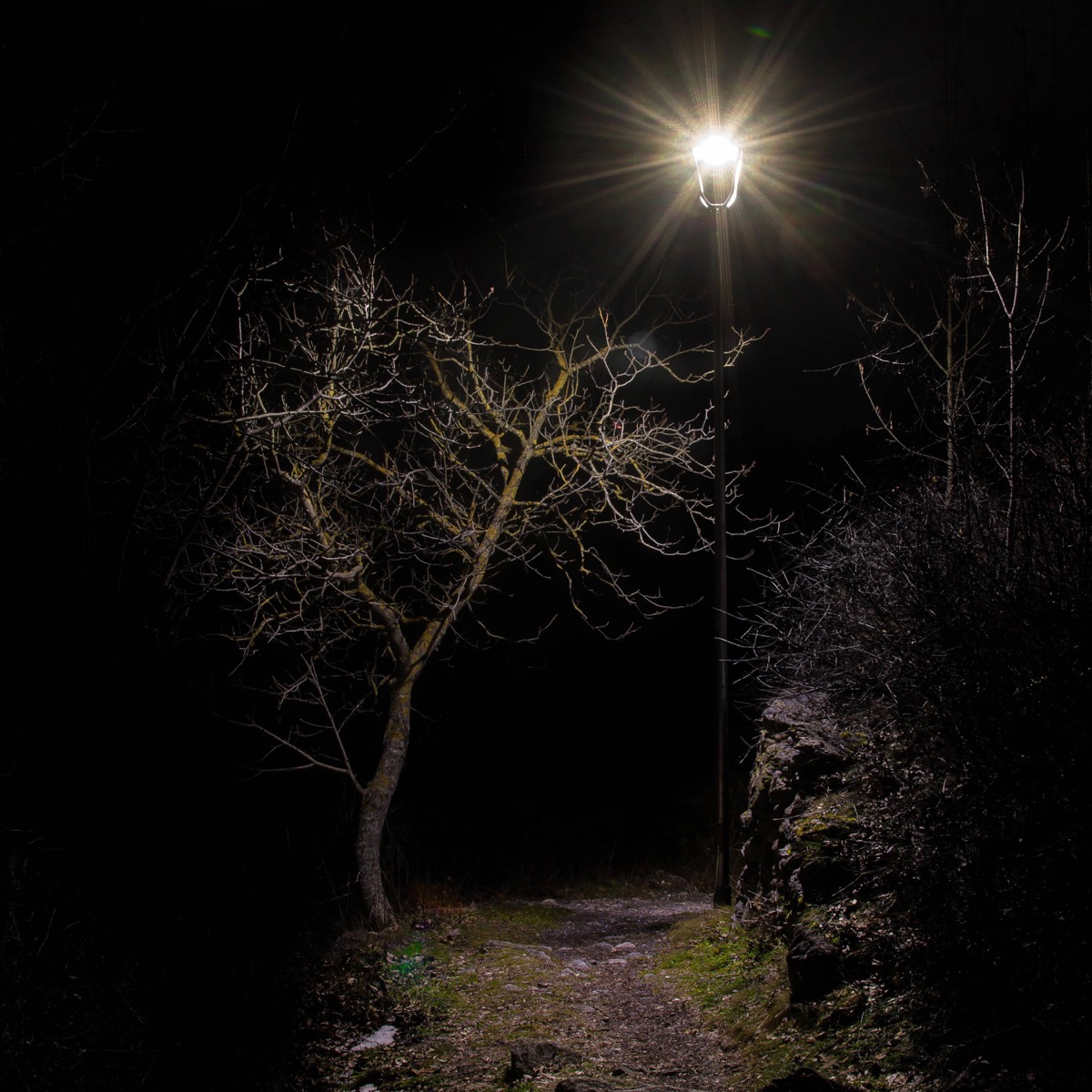 Lungo la Via II (feat. Klava 24 & SilentLytch) - Single by Divino album cover