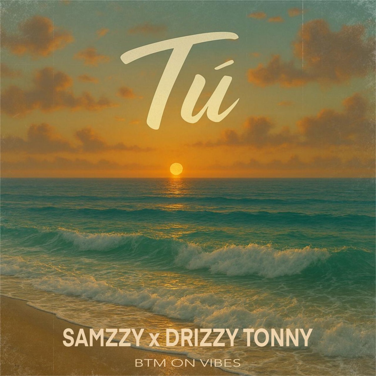 Tu - Single by Samzzy, Btm on vibes & Drizzy Tonny album cover