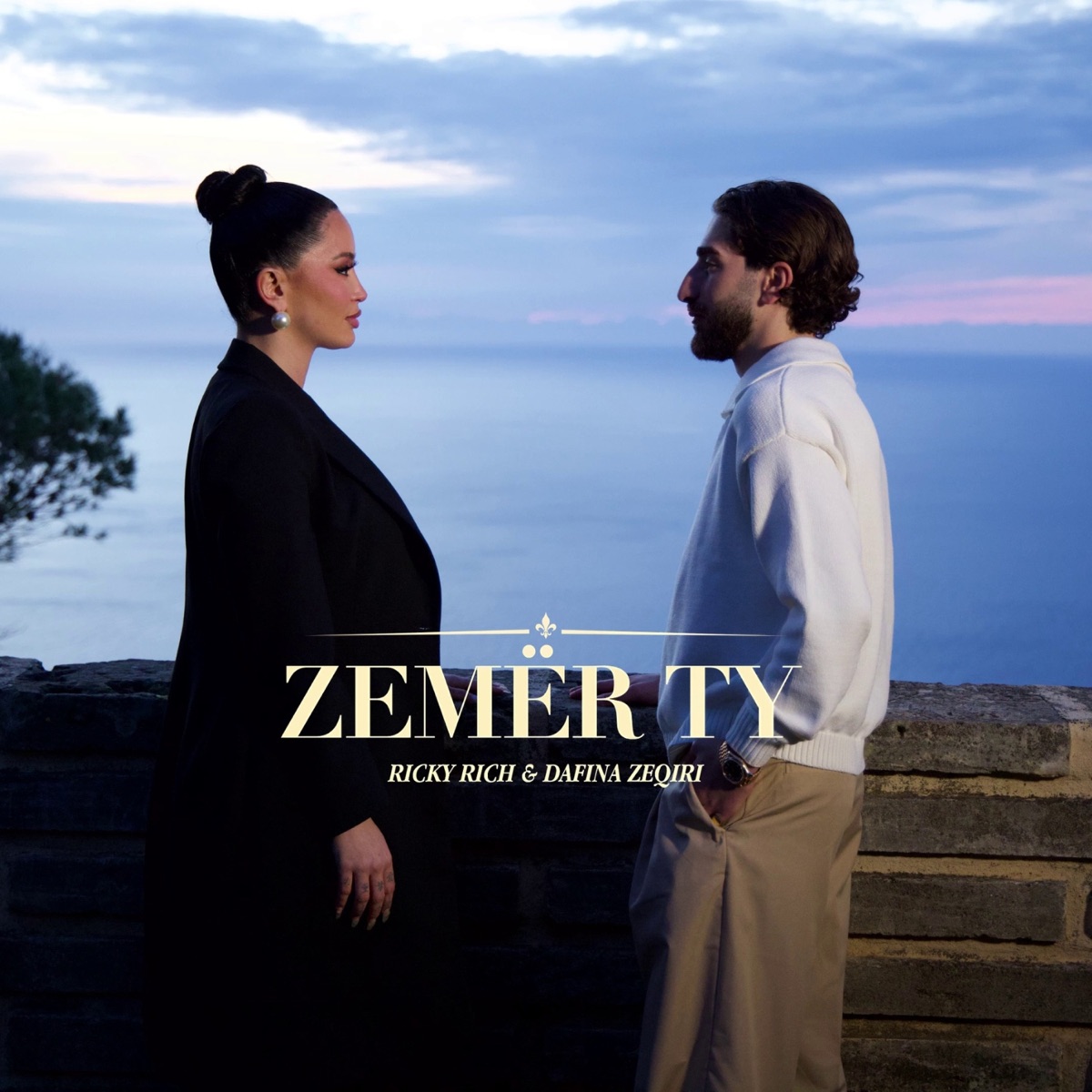 Zemër Ty - Single by Dafina Zeqiri & Ricky Rich album cover