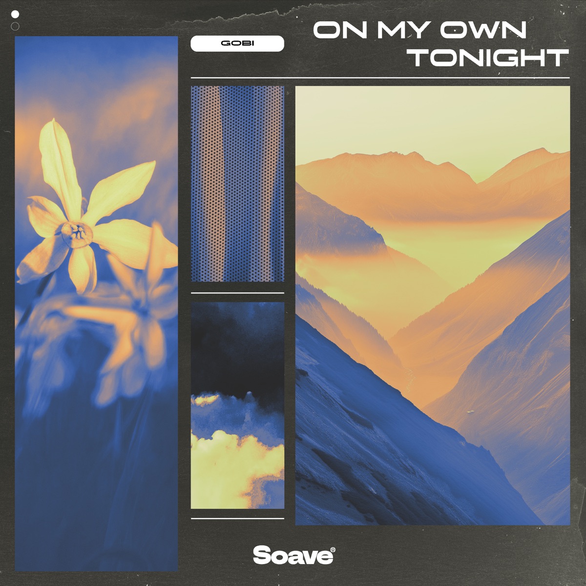 On My Own Tonight - Single by Gobi album cover