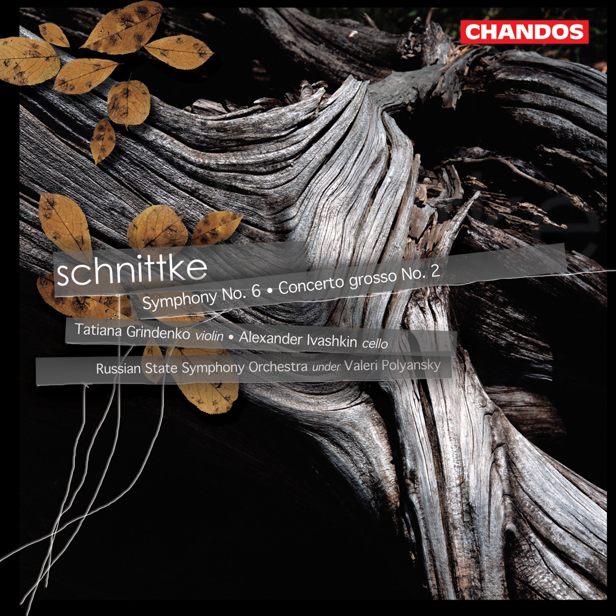 Schnittke: Symphony No. 6 & Concerto grosso No. 2 by Tatiana Grindenko, Alexander Ivashkin, Russian State Symphony Orchestra & Valery Polyansky album cover