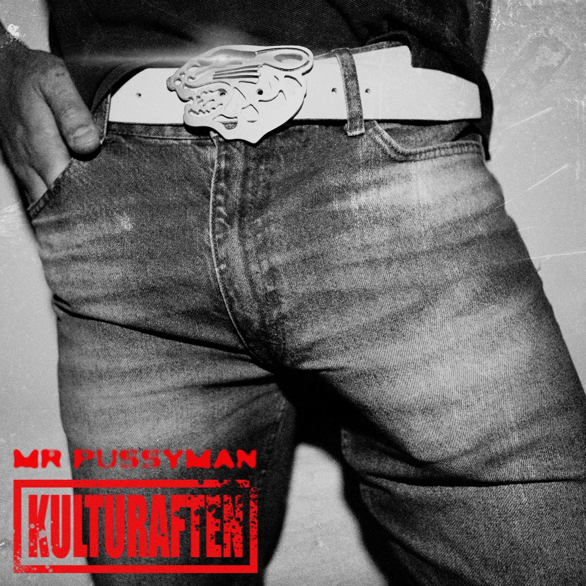 Mr P******n (Freeworld) - Single by Kulturaften album cover