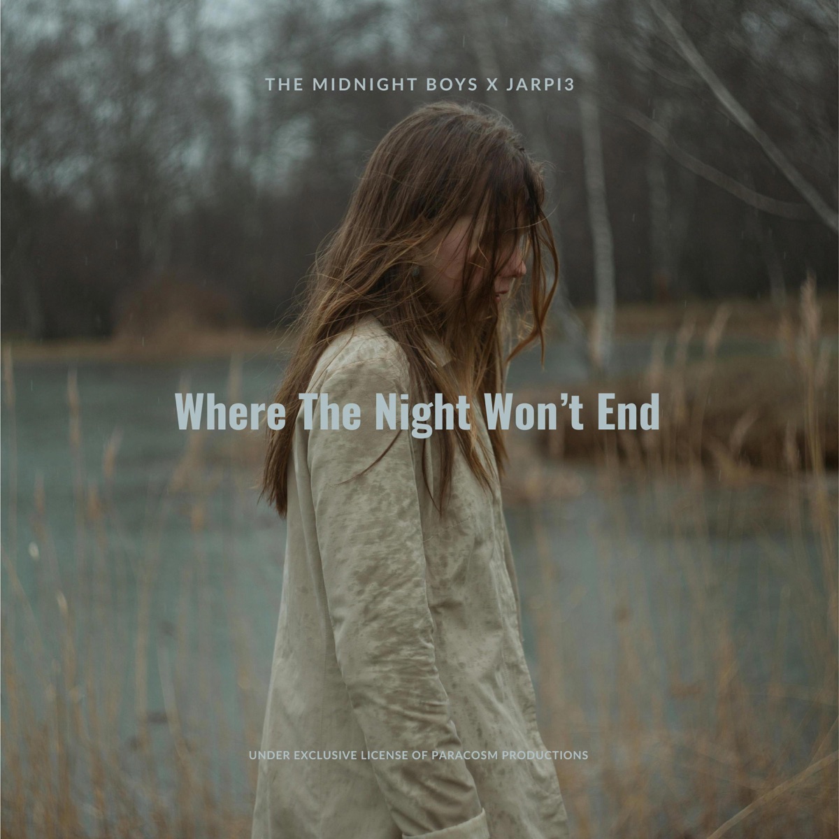 Where The Night Won't End - Single by The Midnight Boys & JARPI3 album cover