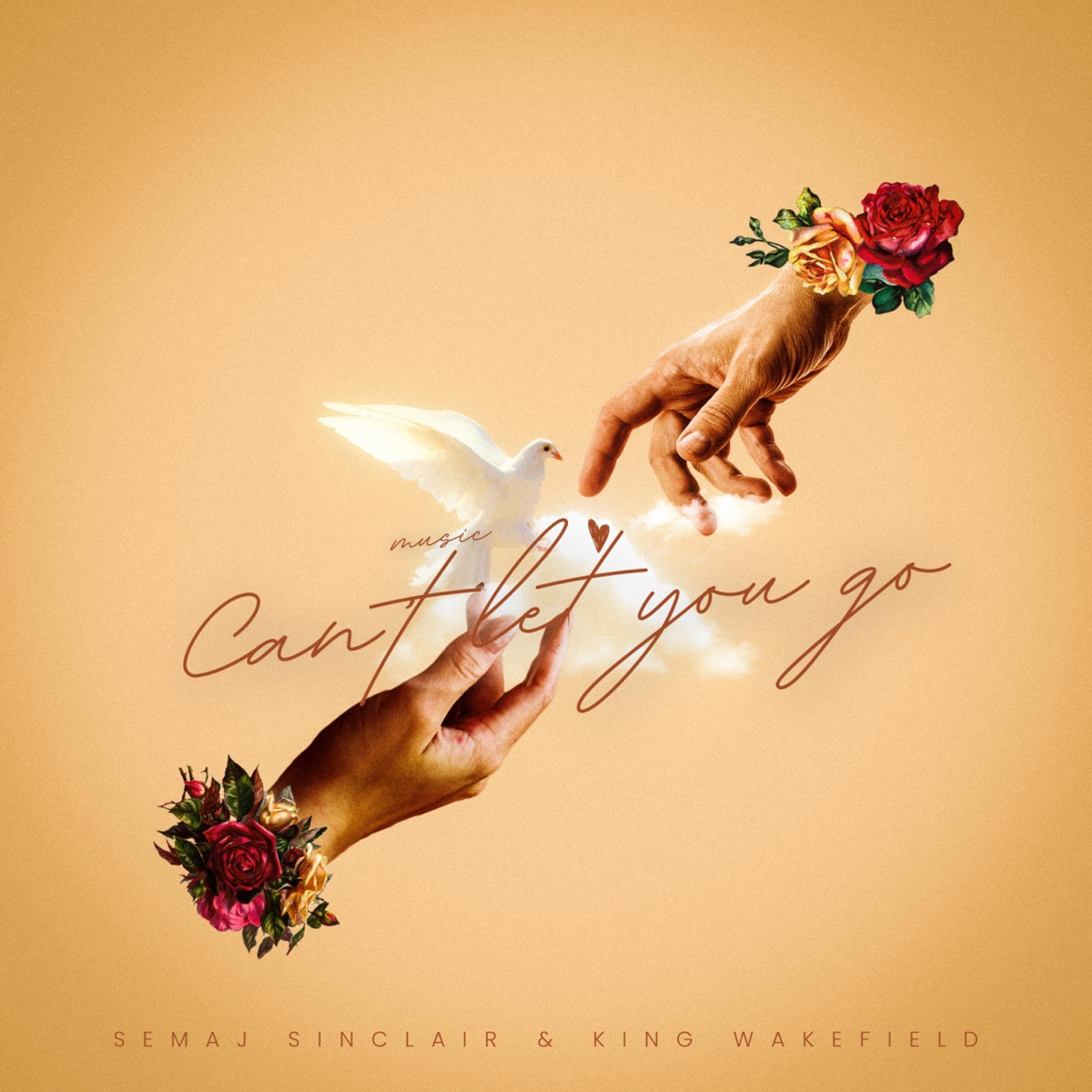 I Cant Let You Go (feat. King Wakefield) - Single by Semaj Sinclair album cover