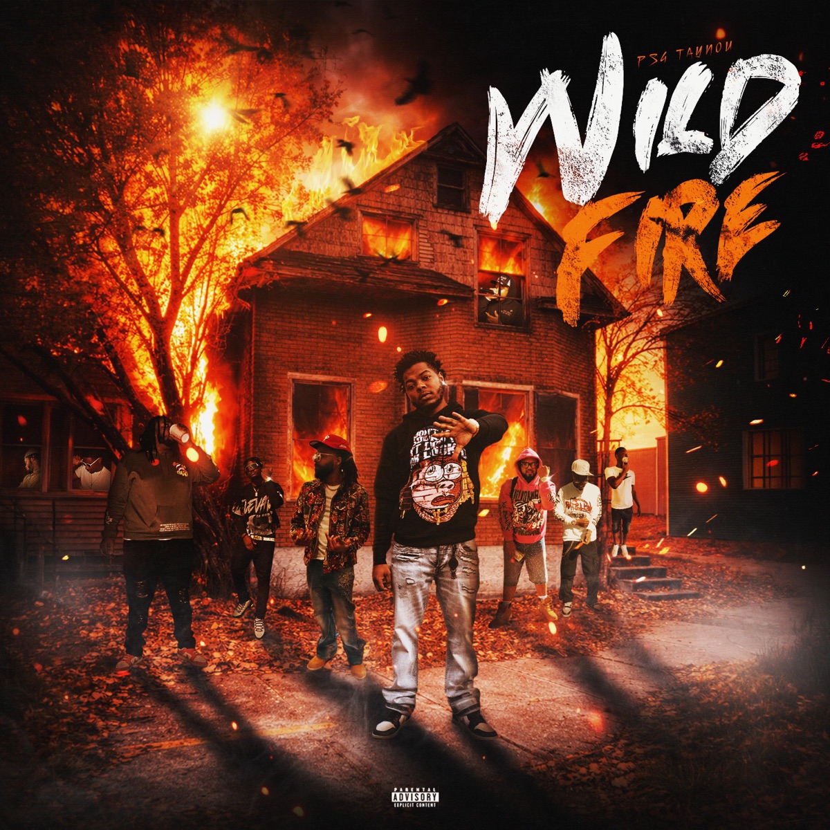 WILD FIRE by psg TayNou album cover