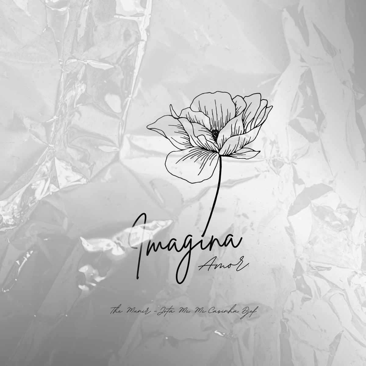 Imagina Amor - Single by Mc Casinha, The Munir & Jota Mc album cover