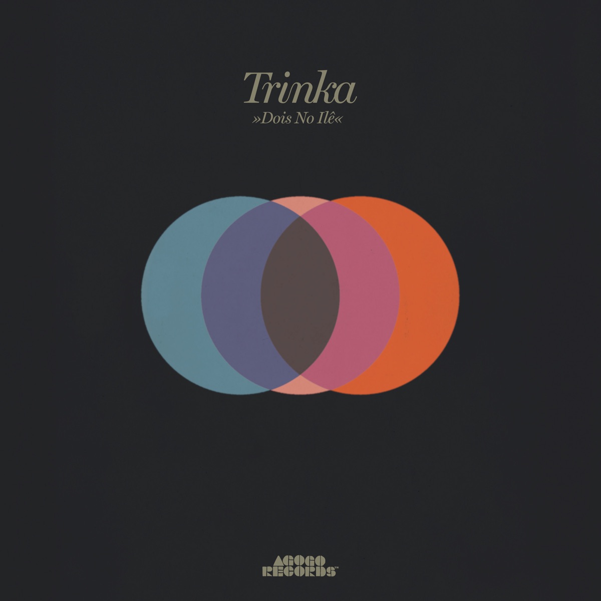Dois No Ilê - Single by Trinka album cover