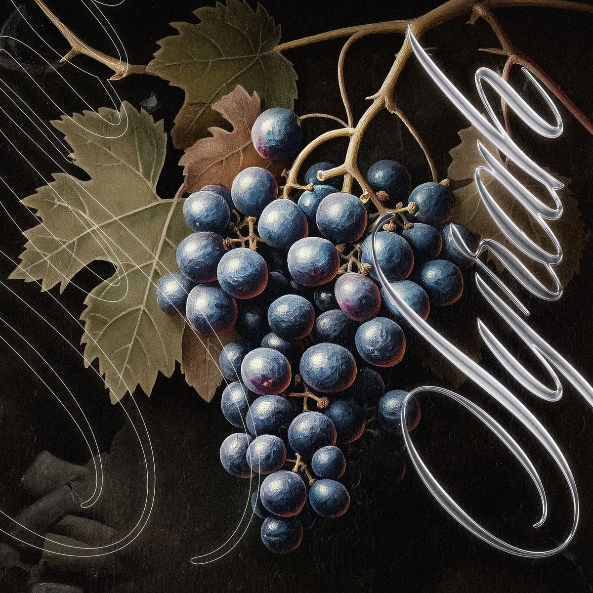 Syrah - Single by FABÌOLA album cover