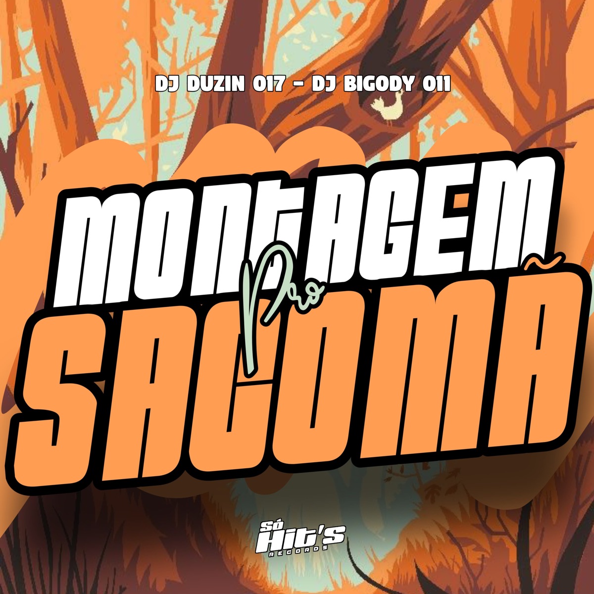 Montagem pro Sacomâ - Single by DJ BIGODY 011 & DJ DUZIN 017 album cover