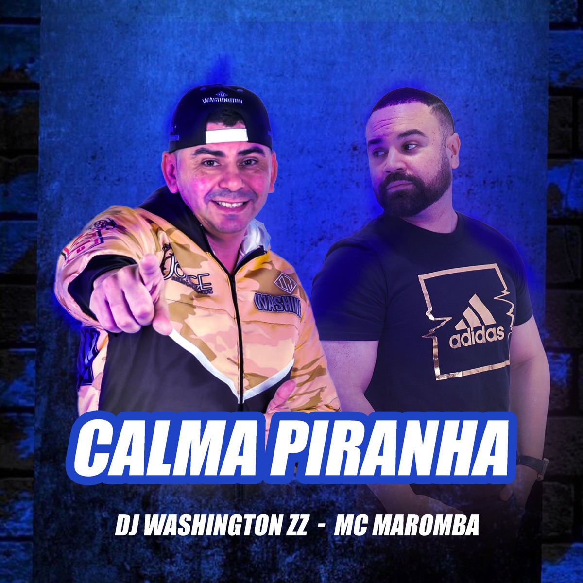 Calma, Piranha (feat. Mc Maromba) - Single by DJ Washington Zz album cover