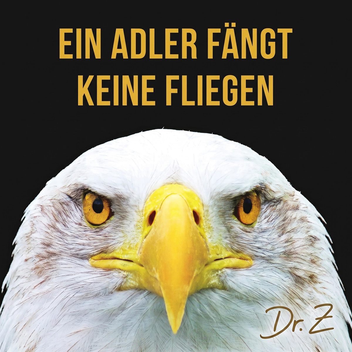 Ein Adler fängt keine Fliegen - Single by Dr. Z – Holistic Growth album cover
