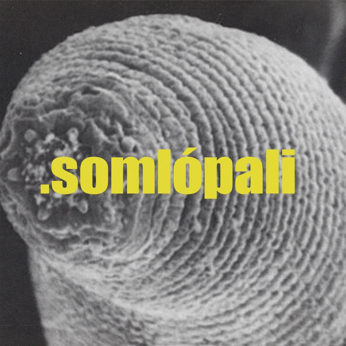 Somlópali - Single by Chaos Chips & Balek Mc album cover