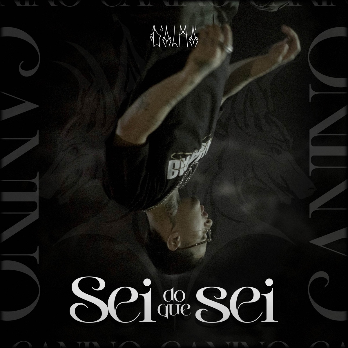 Sei do que sei - Single by D'ALMA & Canino album cover