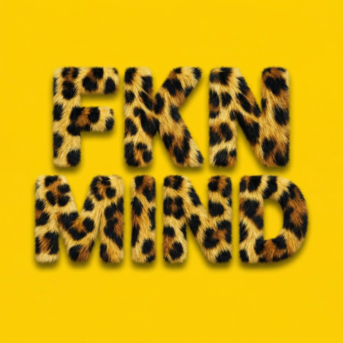 FKN MIND - Single by DJ K PO, Snaktak & DJ Maiwen album cover