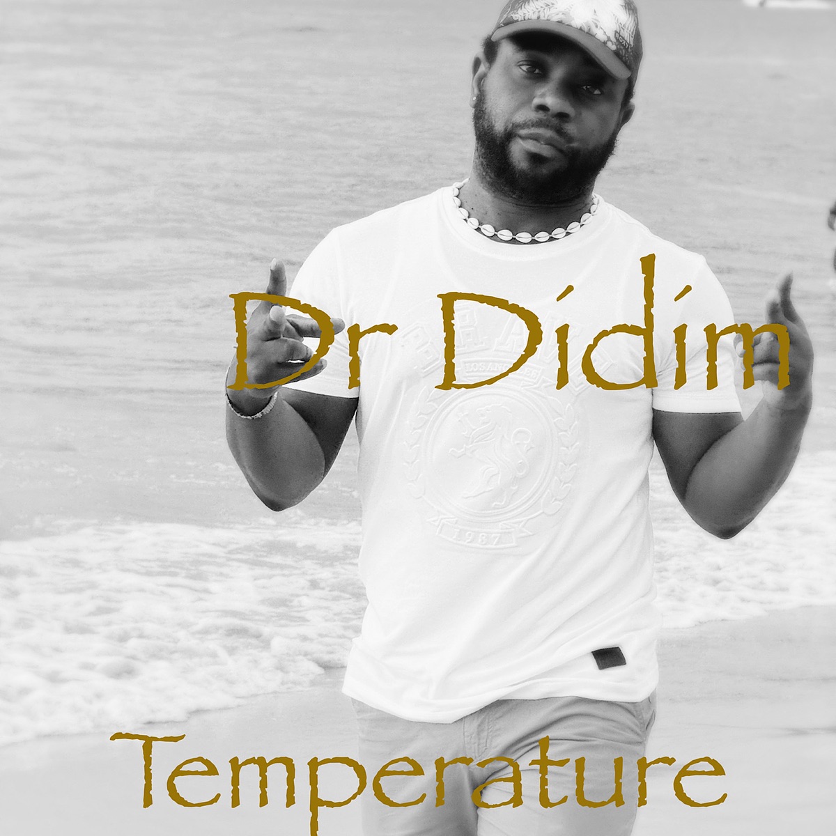 Temperature - Single by Dr Ridim album cover