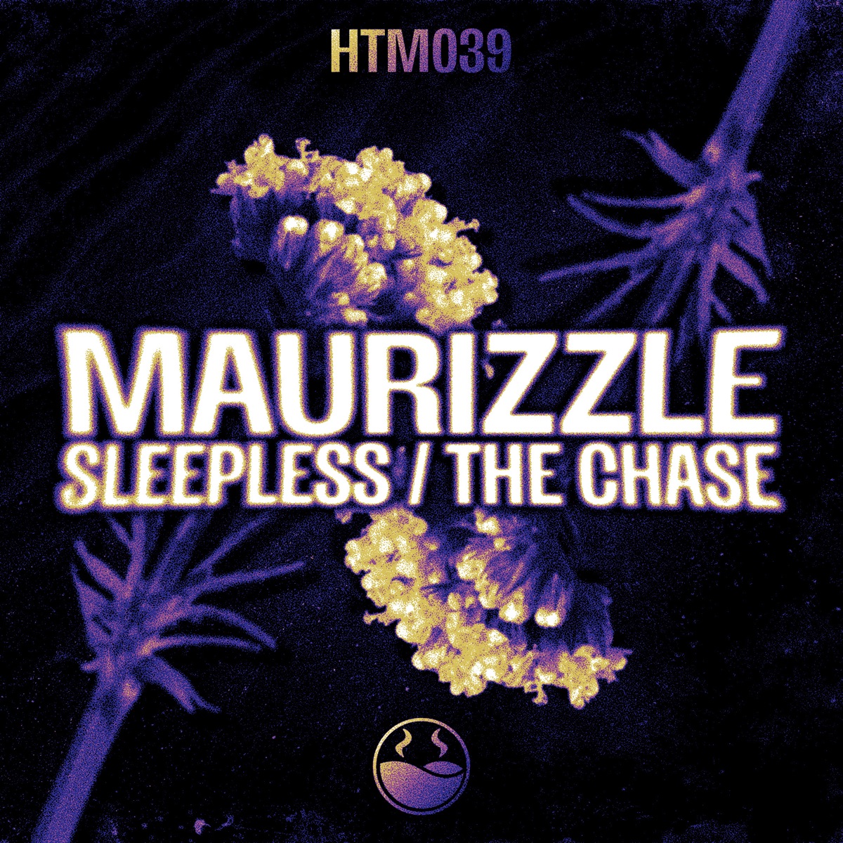 Sleepless / The Chase (feat. Haintz) - Single by Maurizzle album cover