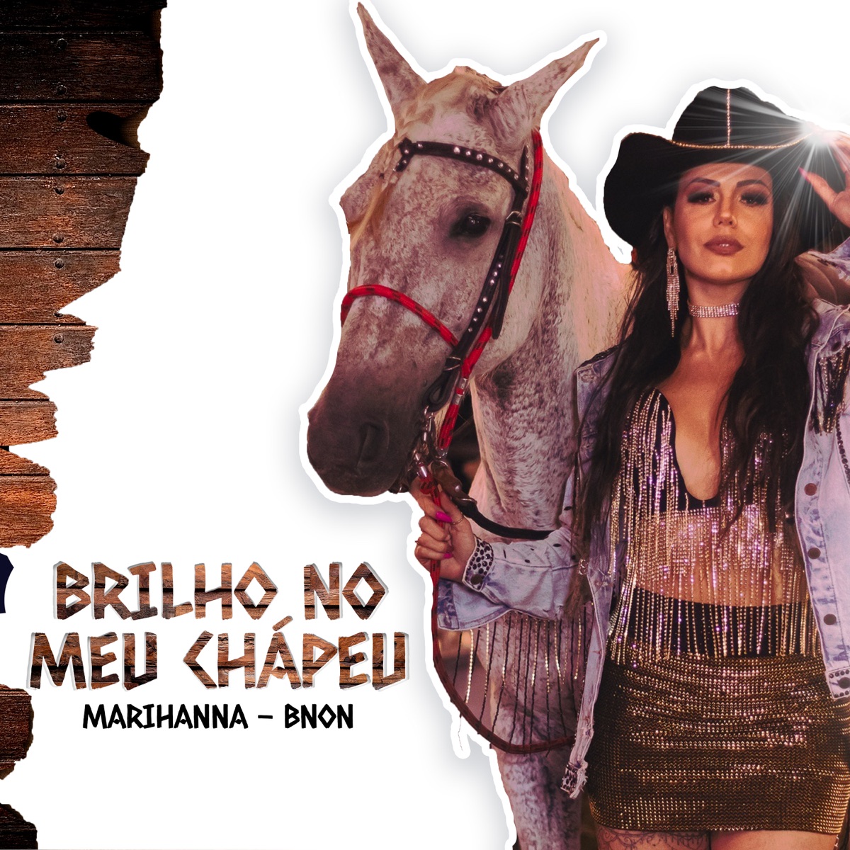 Brilho no Meu Chapéu - Single by MARIHANNA & BNON album cover