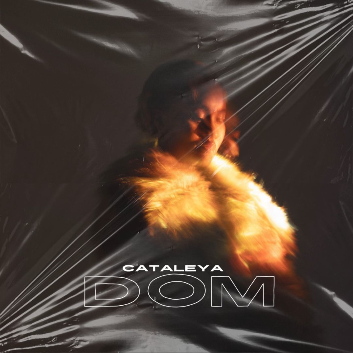 Dom - Single by Cataleya album cover