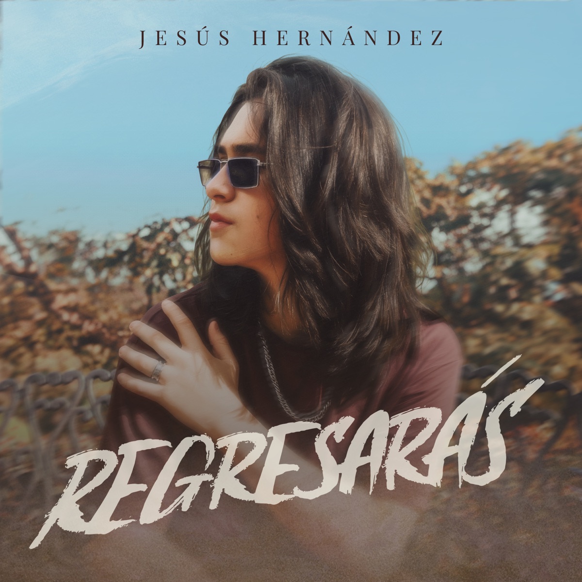 Regresarás - Single by Jesús Hernandez album cover