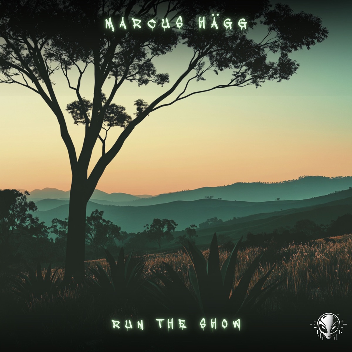 Run the Show - Single by Marcus Hägg album cover