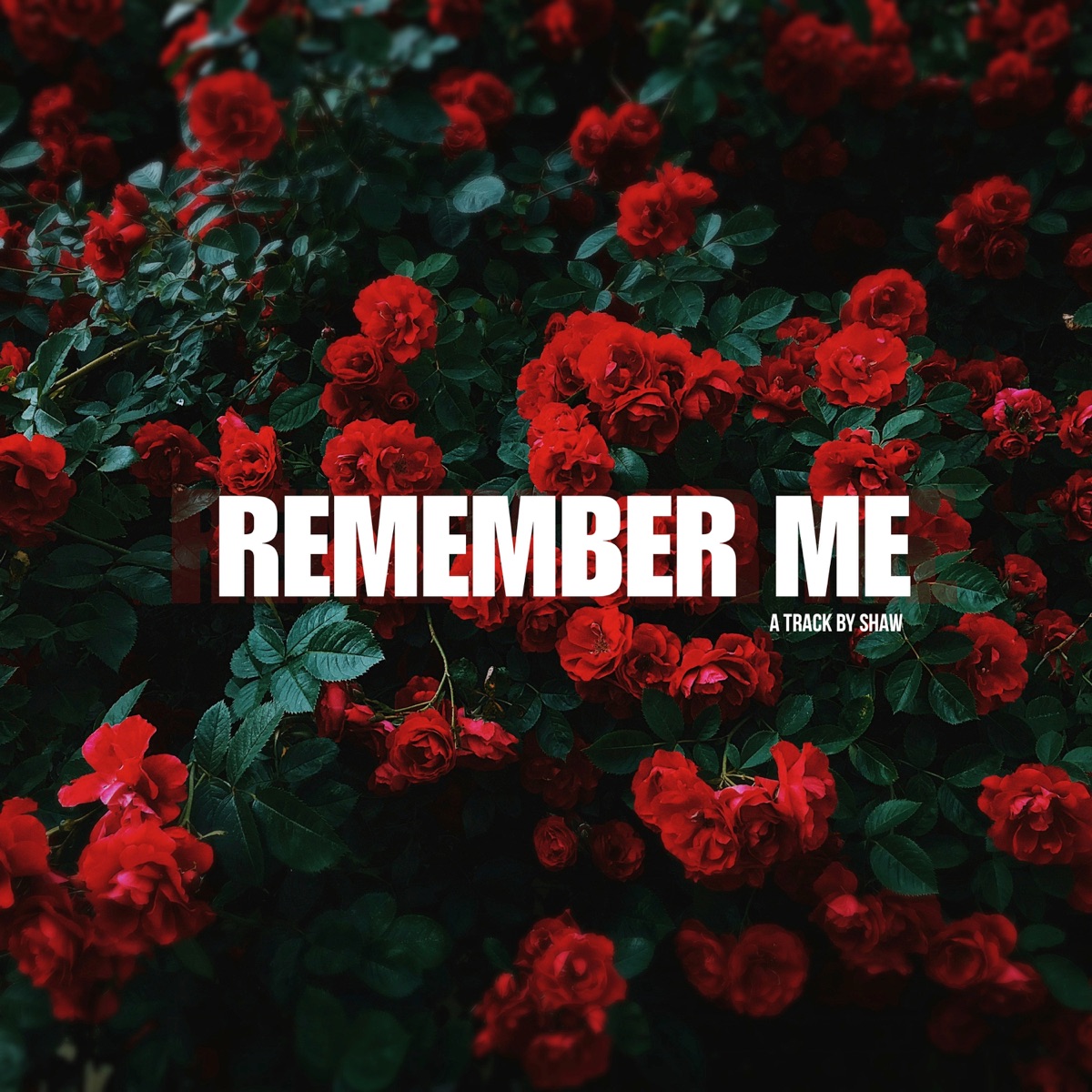 Remember Me - Single by Shaw album cover