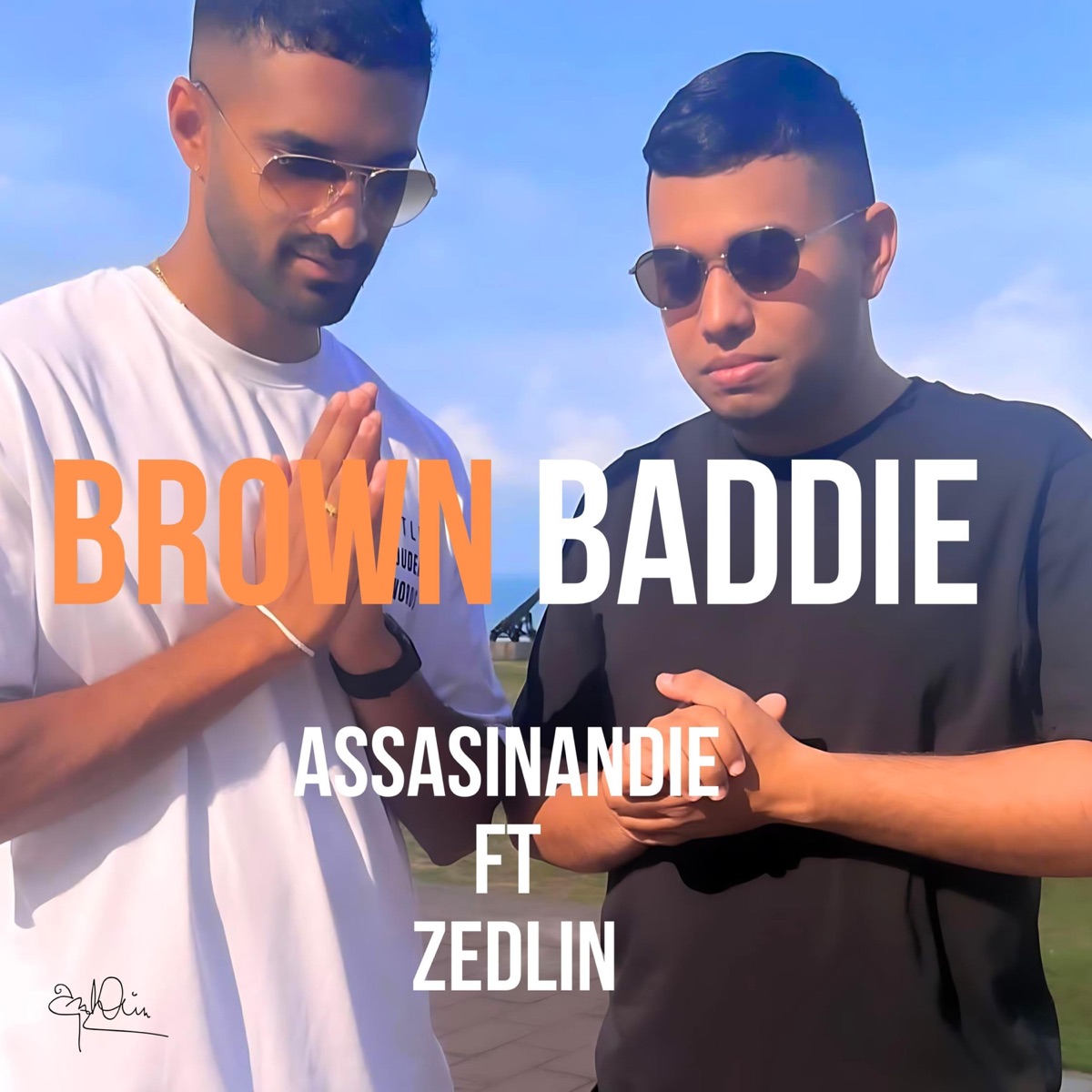Brown Baddie (feat. Zedlin) - Single by Assasinandie album cover