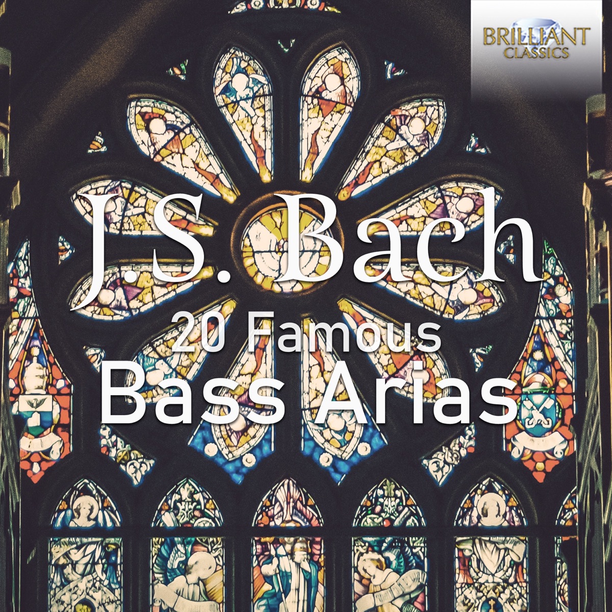 J.S. Bach: 20 Famous Bass Arias by Bas Ramselaar, Netherlands Bach Collegium, Pieter Jan Leusink, Ruth Holton, Hallenser Madrigalisten, Virtuosi Saxoniae, Andreas Scheibner, Günther Leib, Gewandhausorchester, Rudolf Mauersberger & Erhard Mauersberger album cover