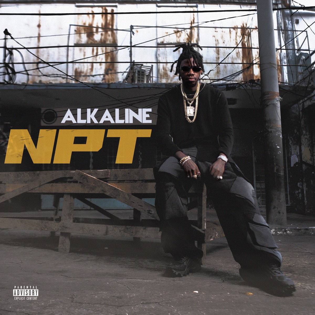 NPT by Alkaline album cover
