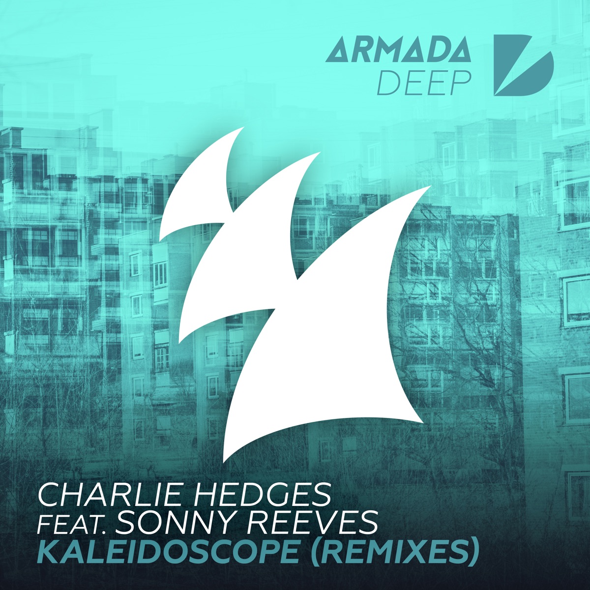 Kaleidoscope (feat. Sonny Reeves) [Remixes] - EP by Charlie Hedges album cover
