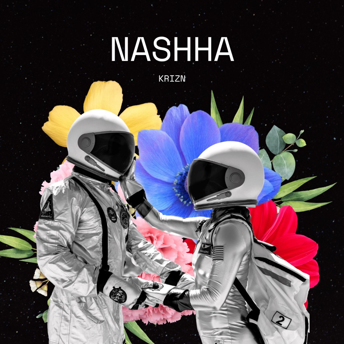 NASHHA - Single by Krizn album cover
