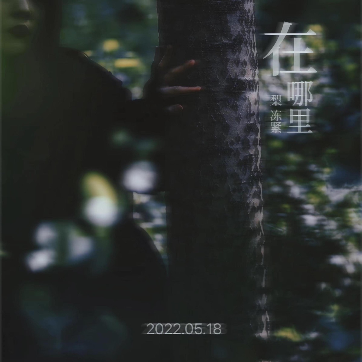 在哪里 - Single by Pear freezes tightly album cover
