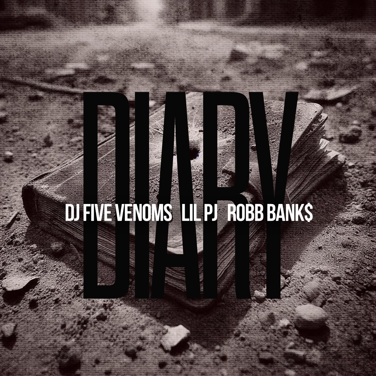 DIARY - Single by DJ Five Venoms, Lil PJ & Robb Bank$ album cover