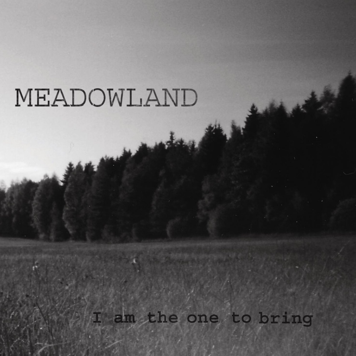 I am the one to bring (feat. Josef Eive & Robin Tinglöf) - EP by Meadowland album cover