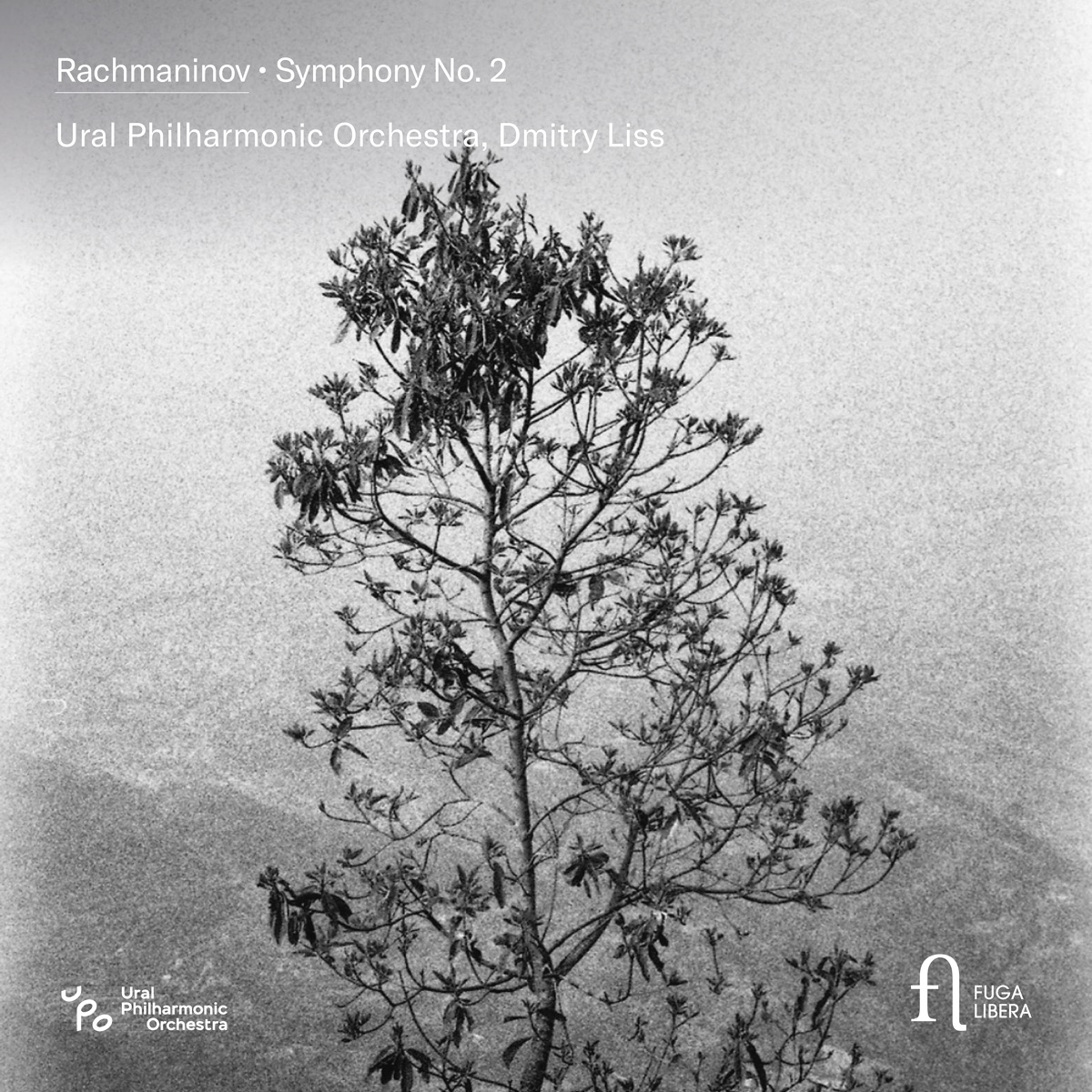 Rachmaninov: Symphony No. 2 by Ural Philharmonic Orchestra & Dmitry Liss album cover