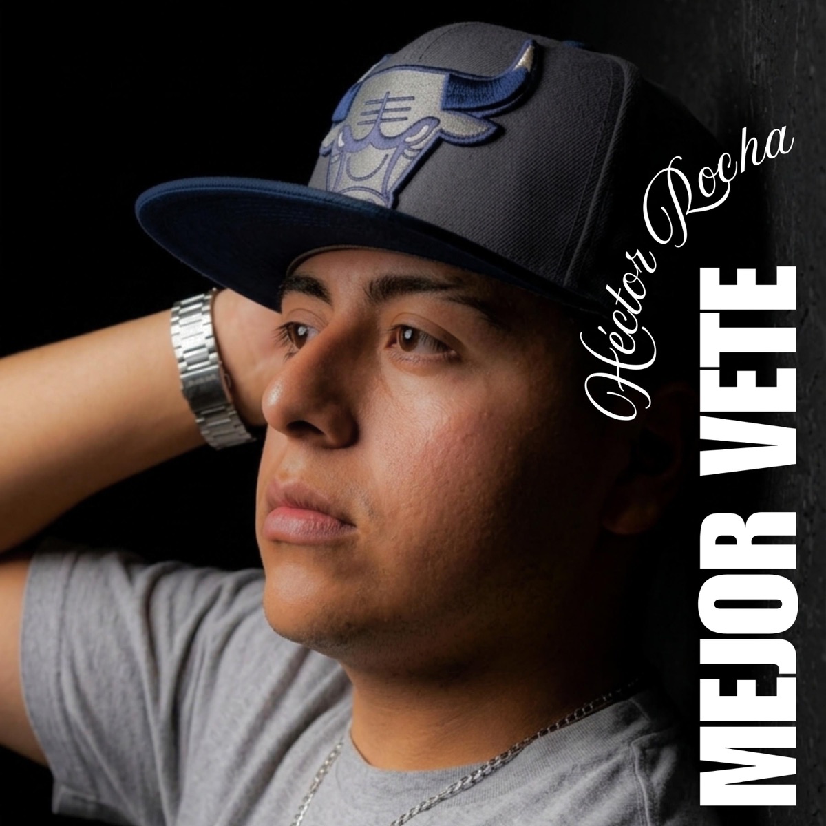 Mejor Vete - Single by Héctor Rocha album cover