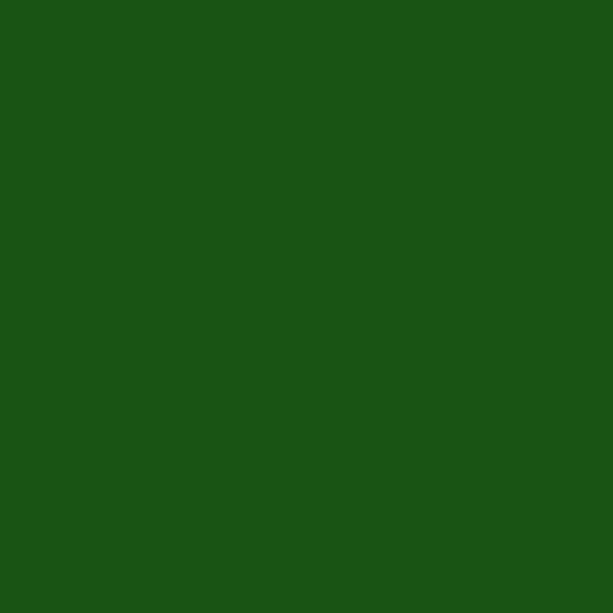 Green F**k N***a (feat. 572lile) - Single by MIA Beaz album cover