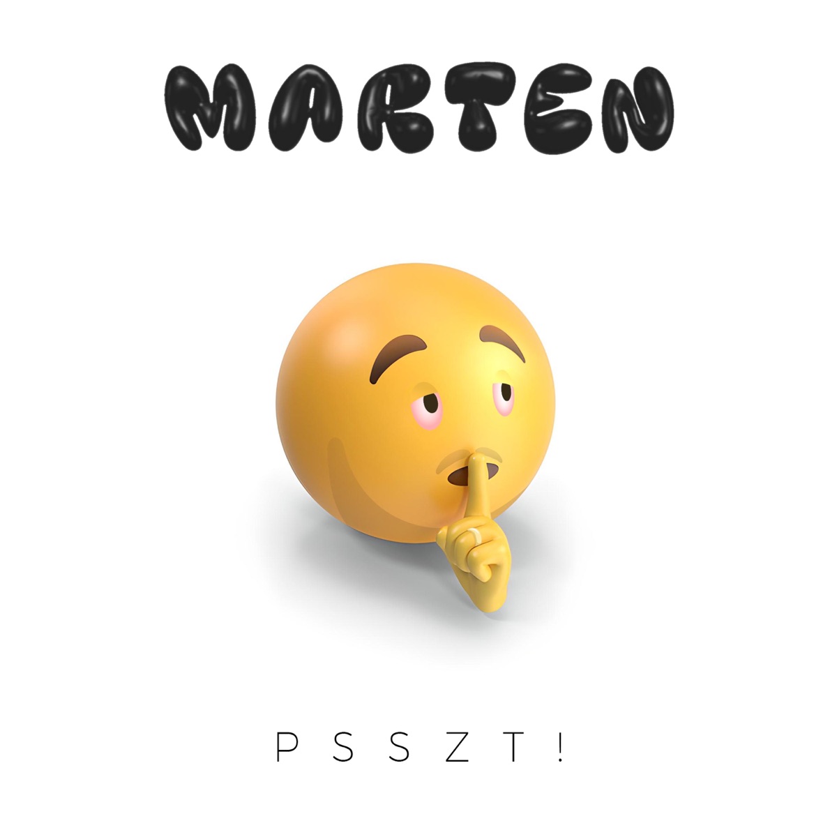 PSSZT! by Marten 307 album cover