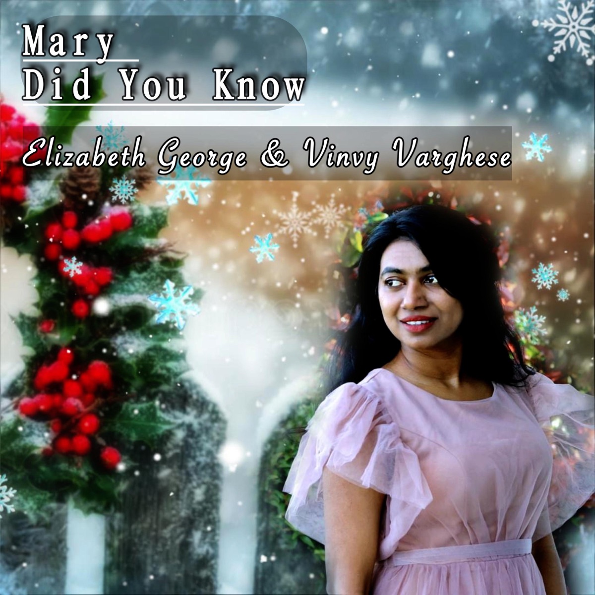 Mary Did You Know - Single by Elizabeth George & Vinvy Varghese album cover