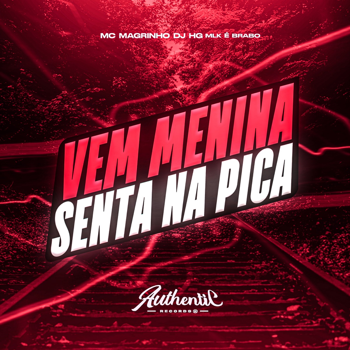 Vem Menina Senta na Pica (feat. Mc Magrinho) - Single by DJ HG MLK É BRABO album cover